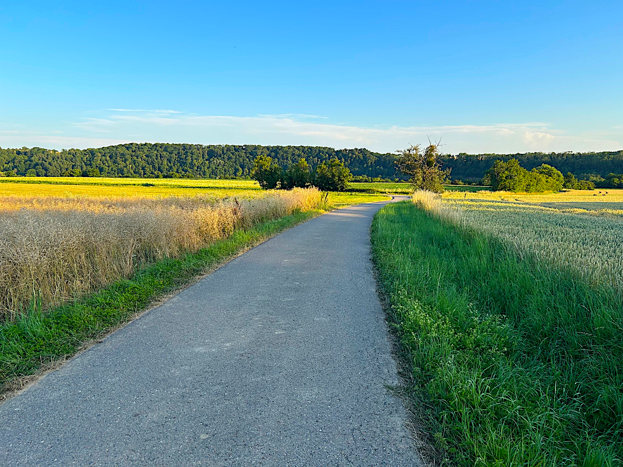 Gänslauf Waldausgang Feldweg bei ca. km 8