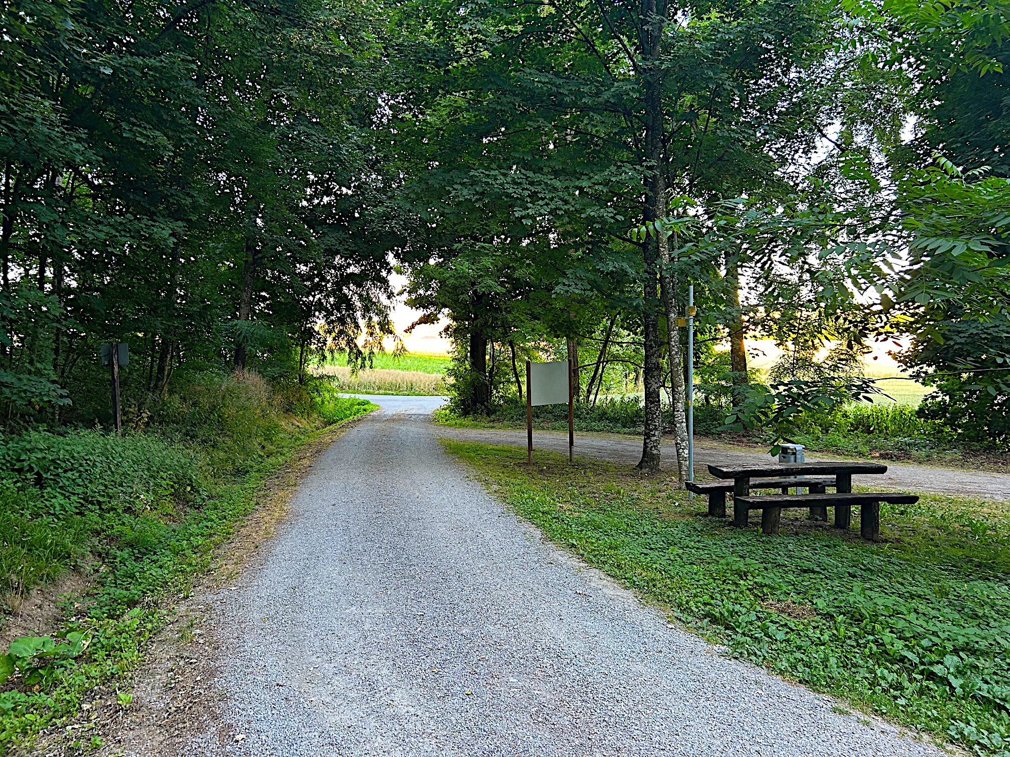 Gänslauf Waldausgang bei ca. km 7,5
